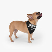 Load image into Gallery viewer, Mental Health Matters Pet Bandana - Fck the Stigma
